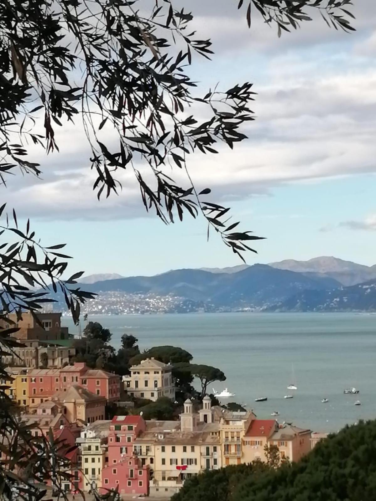 Silent Bay Apartments Sestri Levante Zewnętrze zdjęcie